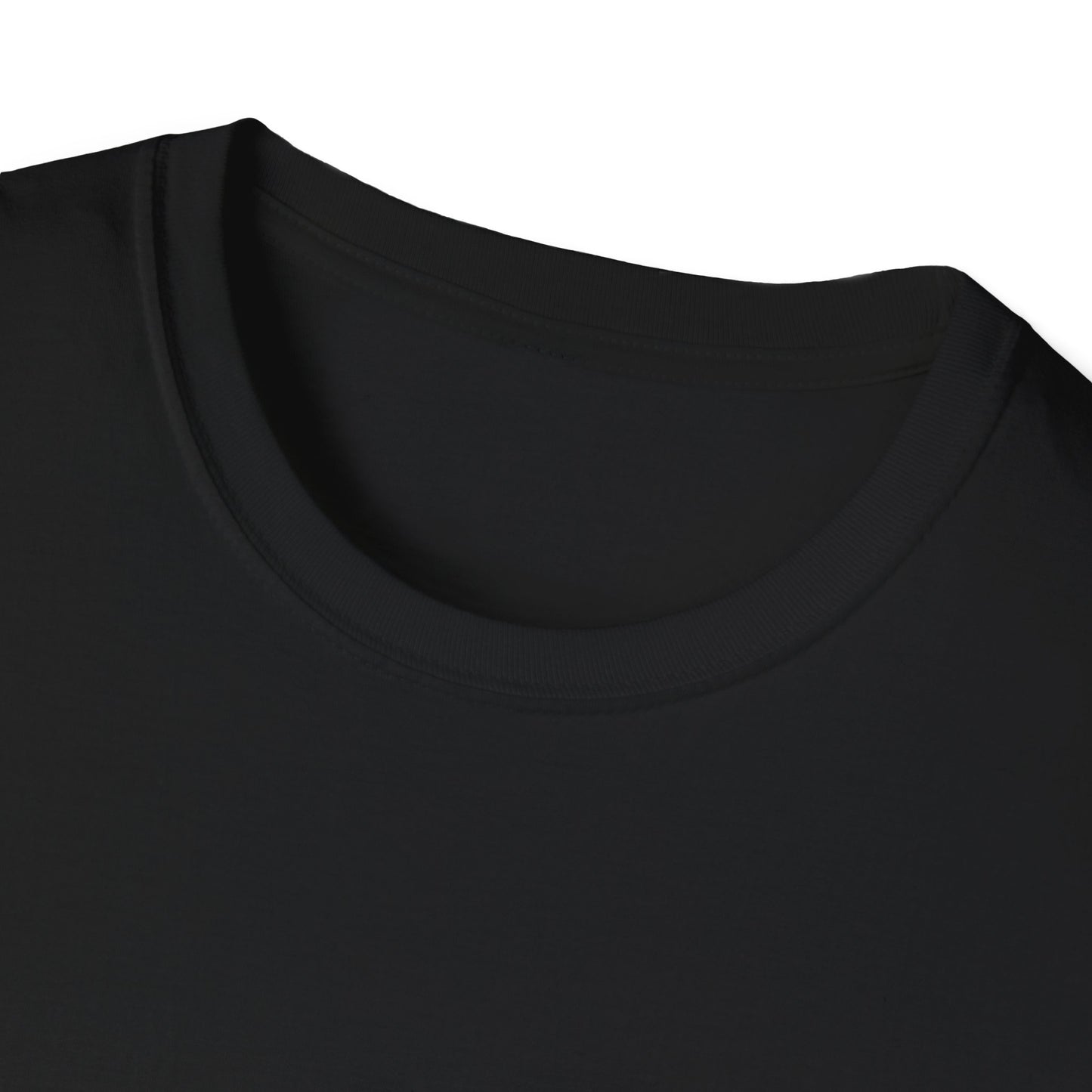 I Partied on a Horse Unisex Softstyle T-Shirt