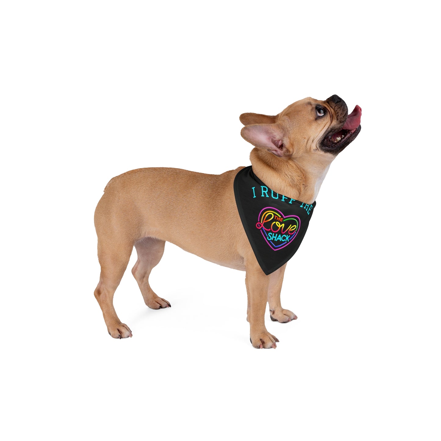 Playful Pet Bandana for Furry Friends