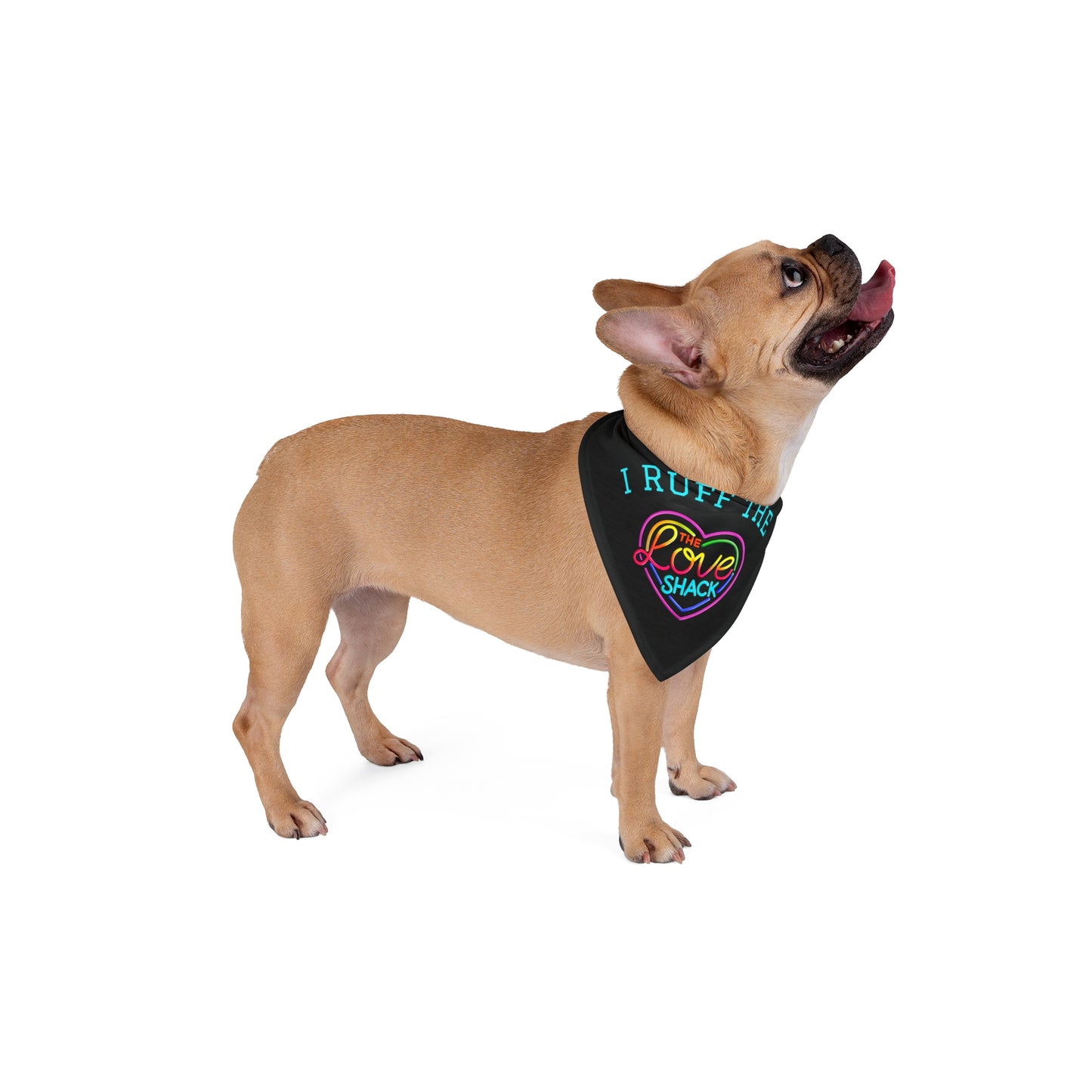 Playful Pet Bandana for Furry Friends